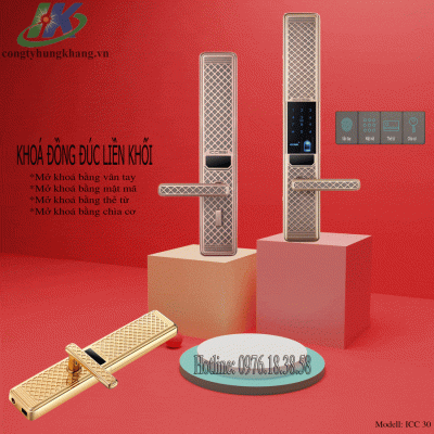 Khóa thông minh đồng nguyên khối giành cho hộ gia đình ICC30
